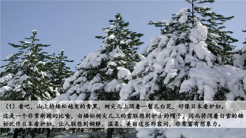 1.7 第2课《济南的冬天》赏析老舍温润的文（教学课件+任务单+作业单）大单元教学2024-2025学年七年级语文上册同步备课（统编版）05