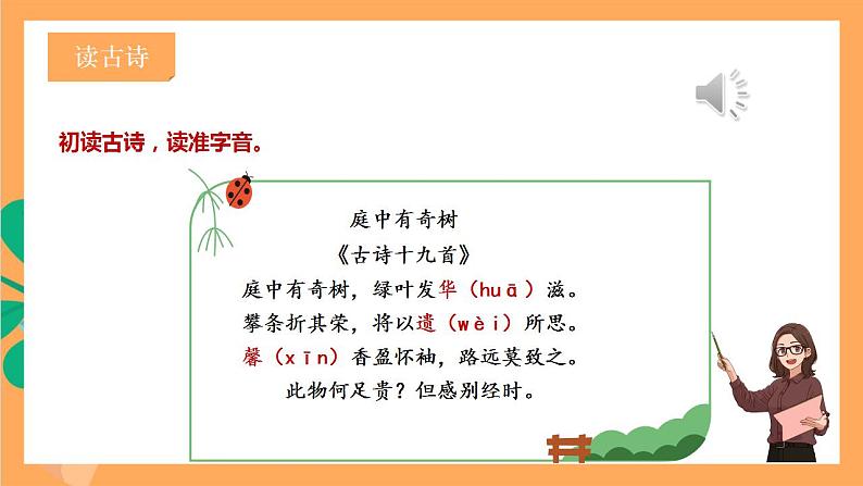 人教部编版语文八上第3单元  单元课外古诗词诵读  《庭中有奇树》 课件+教案+素材06