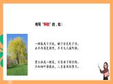 人教部编版语文八上15《白杨礼赞》 第1课时 课件+教案+分层作业+素材
