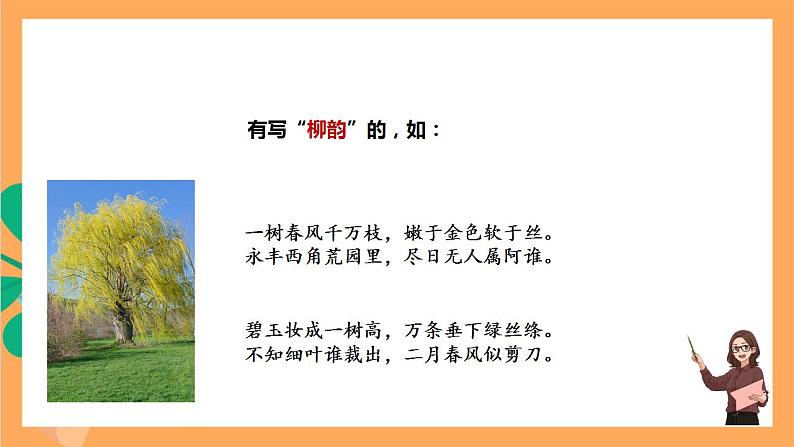 人教部编版语文八上15《白杨礼赞》 第1课时 课件+教案+分层作业+素材03