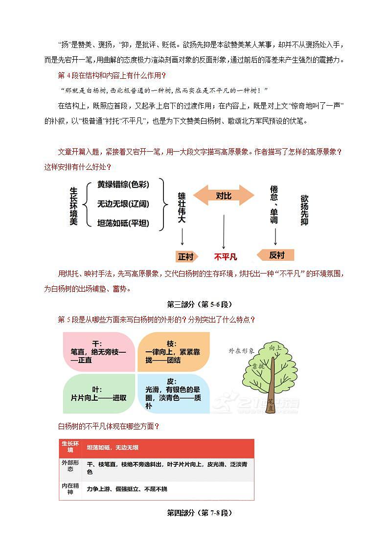 人教部编版语文八上15《白杨礼赞》 第2课时 课件+教案+分层作业02
