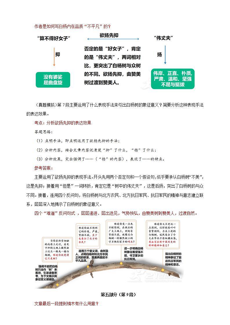 人教部编版语文八上15《白杨礼赞》 第2课时 课件+教案+分层作业03
