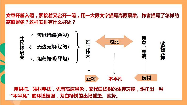 人教部编版语文八上15《白杨礼赞》 第2课时 课件+教案+分层作业07