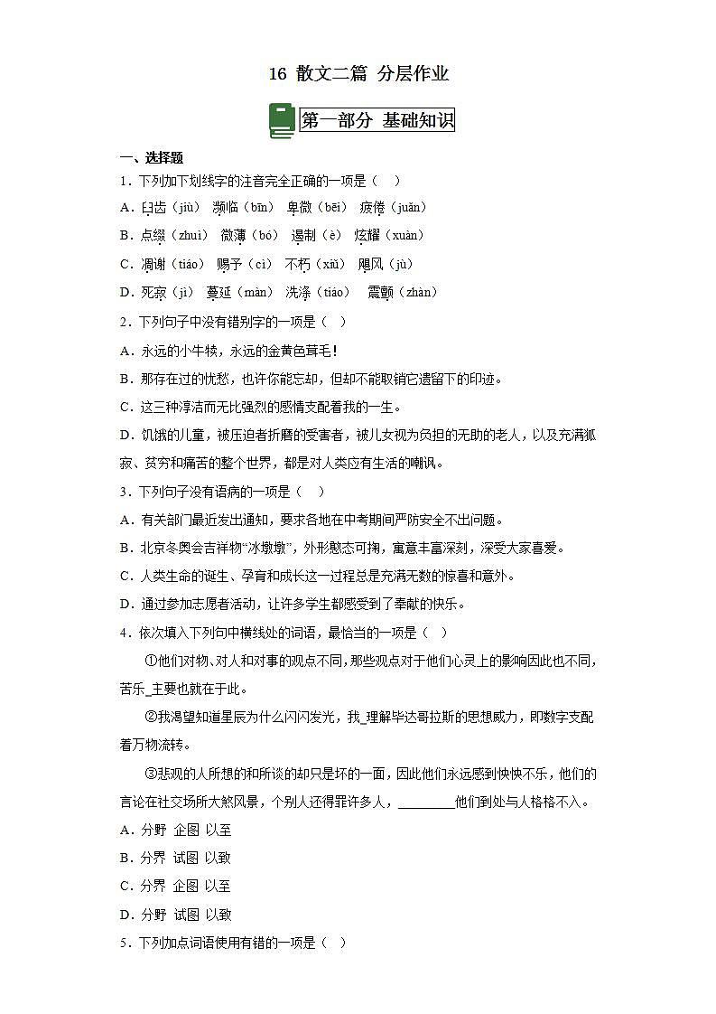 人教部编版语文八上16散文二篇《 永久的生命》课件+教案+分层作业+素材01