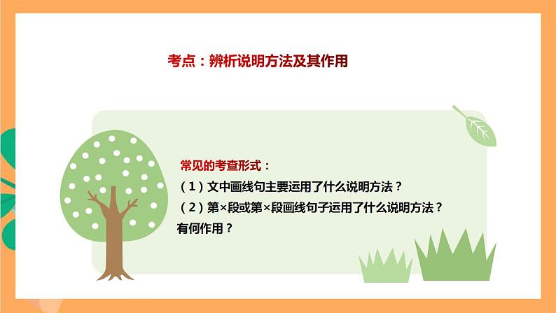 人教部编版语文八上18《中国石拱桥》 第2课时课件+教案+分层作业+素材03