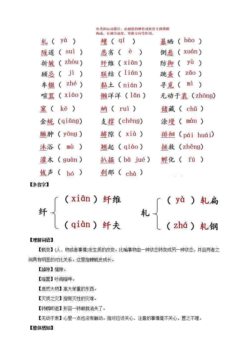人教部编版语文八上21《 蝉》 第1课时 课件+教案+分层作业+素材02