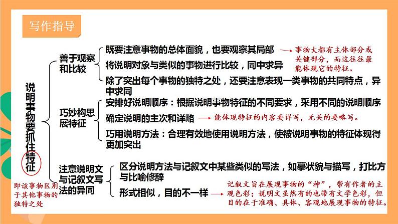 人教部编版语文八上第5单元 写作 《说明事物要抓住特征》课件+教案04