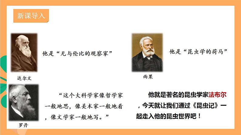 人教部编版语文八上第5单元 名著导读 《昆虫记》 科普作品的阅读 课件+教案+单元检测卷02