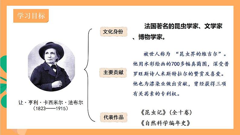 人教部编版语文八上第5单元 名著导读 《昆虫记》 科普作品的阅读 课件+教案+单元检测卷03