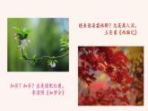 部编版初中语文七年级上册4《古代诗歌四首》课件+教案