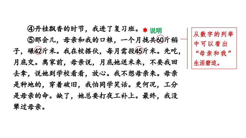 河南省2024年语文中考热点备考重难专题：文学类文本阅读小说（课件）第8页