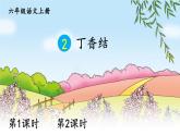 五四制六年级语文上册 第1单元 2 丁香结 PPT课件+教案