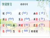五四制六年级语文上册 第1单元 2 丁香结 PPT课件+教案