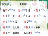 五四制六年级语文上册 第1单元 3 花之歌 PPT课件+教案