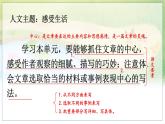 五四制六年级语文上册 第5单元 17 夏天里的成长 PPT课件+教案