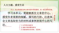 人教部编版 (五四制)六年级上册（2018）16 夏天里的成长授课课件ppt