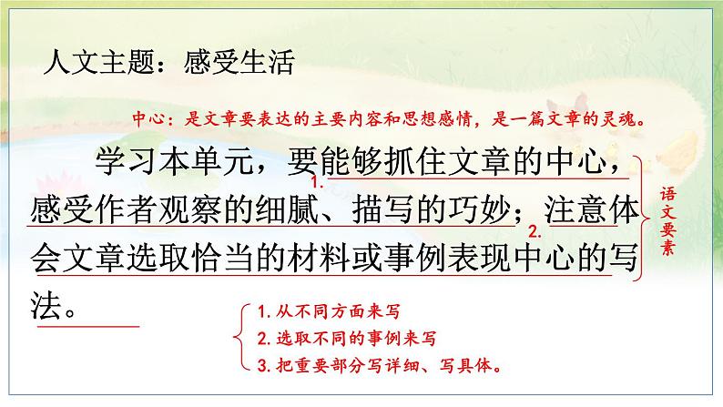 五四制六年级语文上册 第5单元 17 夏天里的成长 PPT课件+教案01