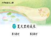 五四制六年级语文上册 第5单元 17 夏天里的成长 PPT课件+教案