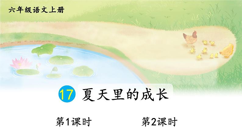 五四制六年级语文上册 第5单元 17 夏天里的成长 PPT课件+教案02