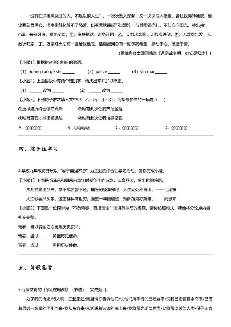 [语文][期中]2023_2024学年广东湛江廉江市初三上学期期中语文试卷02