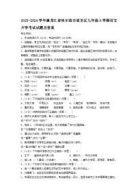 2023-2024学年黑龙江省哈尔滨市道里区九年级上学期语文开学考试试题及答案