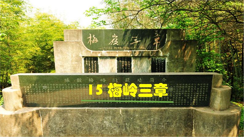 15《梅岭三章》【2022新课标】课件第2页