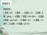 第7.2课 《荷叶·母亲》：清水出芙蓉，母爱无需饰（课件） 七年级语文上册同步备课（ 人教部编版2024）
