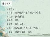 第7.2课 《荷叶·母亲》：清水出芙蓉，母爱无需饰（课件） 七年级语文上册同步备课（ 人教部编版2024）