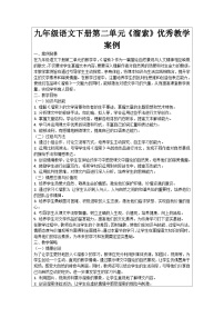 初中语文人教部编版九年级下册溜索导学案