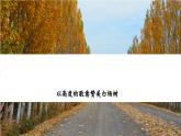 第15課《白楊禮贊》課件-2024-2025學(xué)年統(tǒng)編版語文八年級(jí)上冊