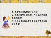 第15課《白楊禮贊》課件-2024-2025學(xué)年統(tǒng)編版語文八年級(jí)上冊