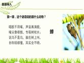 第21課《蟬》課件2024—2025學(xué)年統(tǒng)編版語(yǔ)文八年級(jí)上冊(cè)