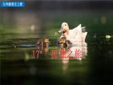 统编版 语文 九年级上册 第5单元 17 孤独之旅 PPT课件+教案+习题