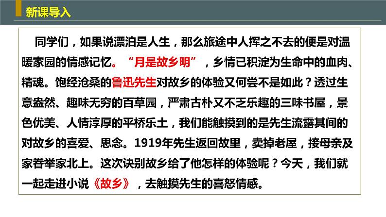 《故乡》同步课件第4页