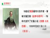 第8课《列夫·托尔斯泰》课件2024—2025学年统编版语文八年级上册