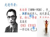 第14课《背影》课件2024—2025学年统编版语文八年级上册