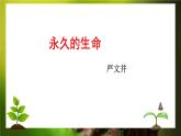 第17课《散文二篇》课件2024-2025学年统编版语文八年级上册