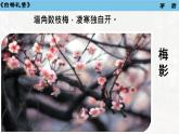 第16课《白杨礼赞》课件2024-2025学年统编版语文八年级上册