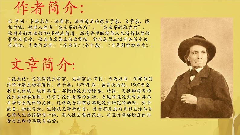 第21课《蝉》课件2024—2025学年统编版语文八年级上册03