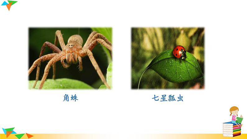 部编版语文八年级上册（第五单元）教案、课件（含音频）08