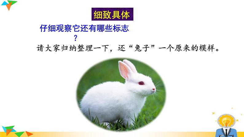 部编版语文八年级上册（第五单元）教案、课件（含音频）05