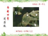 统编版语文七年级上册 第3课《雨的四季》课件