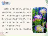统编版语文七年级上册 第11课《再塑生命的人》课件