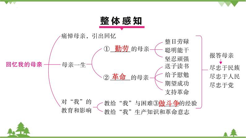 统编版语文七年级上册 第14课《回忆我的母亲》课件05