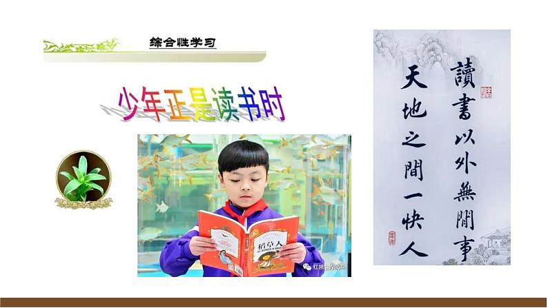 【任务型教学】新教材部编版初中语文七上第四单元综合性学习《少年正是读书时》（课件+教案+学案）02