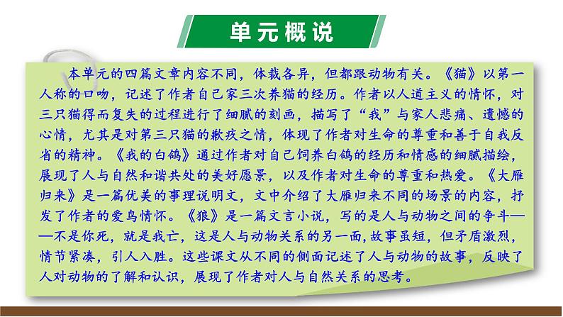 2024修订版部编初中语文七上第五单元解读课件07