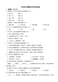 福建省泉州市2024年七年级上学期语文开学考试试卷附参考答案