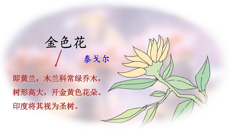 部编版语文七年级上册 7 散文诗二首 课件第4页