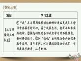 部編版語文七年級上冊 3閱讀綜合實踐 課件