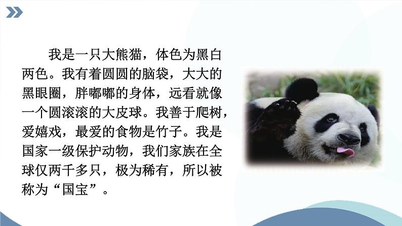 部编版语文七年级上册 任务2 亲近动物，丰富生命体验 课件第6页